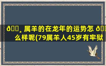 🌸 属羊的在龙年的运势怎 🐅 么样呢(79属羊人45岁有牢狱之灾吗)